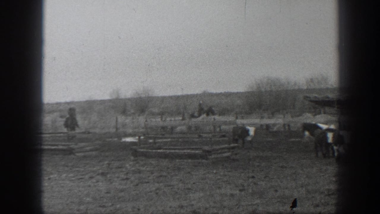 Black-and-white 1939 Montana frame with cattle roaming a fenced rural field and small distant people or farm activity beyond them.