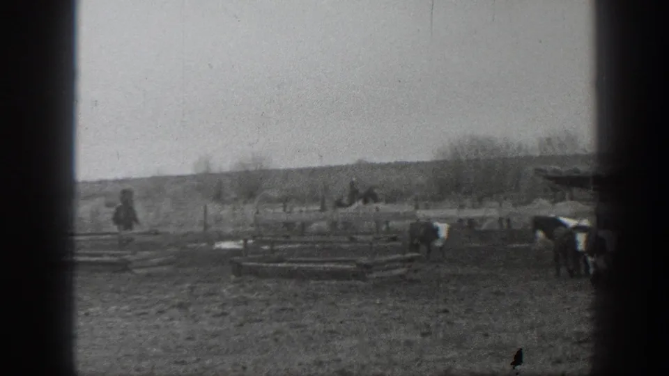 Black-and-white 1939 Montana frame with cattle roaming a fenced rural field and small distant people or farm activity beyond them.