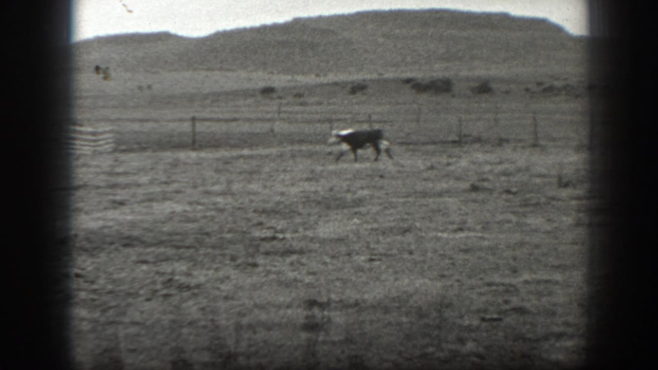 Open ranch field with a distant animal, fence line, and low hills.