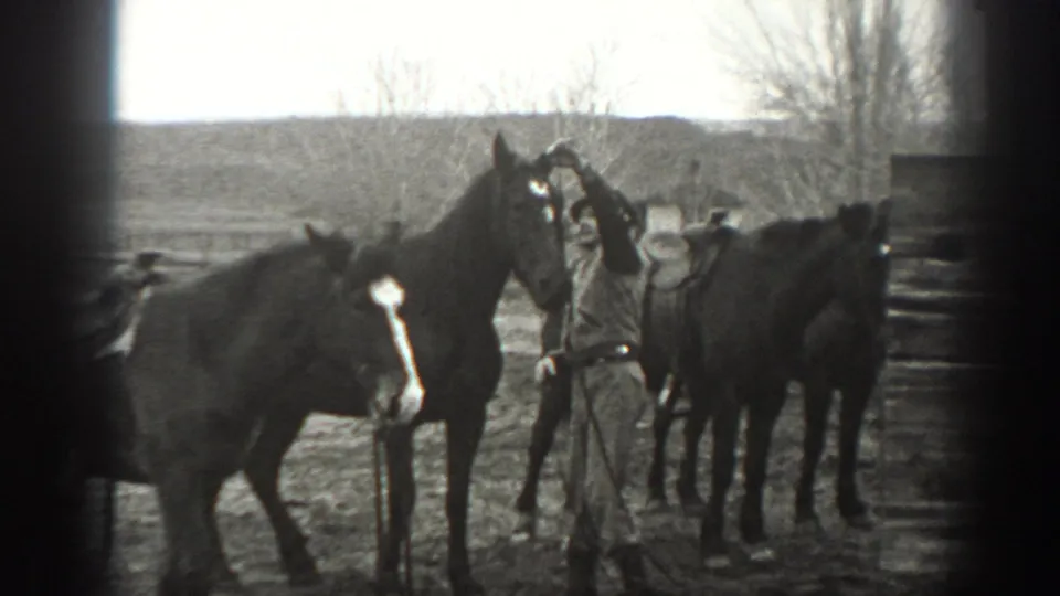 Man in work clothes stands close to several horses in a 1939 Montana ranch field, with fencing and low hills behind them.