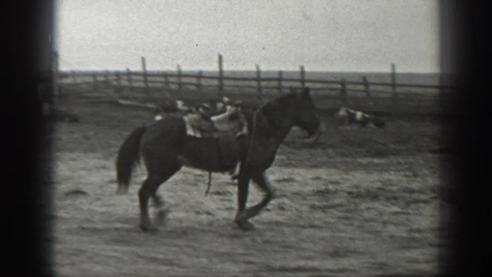 A saddled horse moves through a Montana ranch yard while a man remains partly visible near its head.