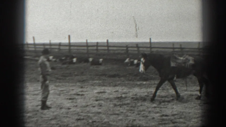 In the 1939 Montana ranch scene, a man watches or guides a saddled horse across dusty ground inside rail fencing.