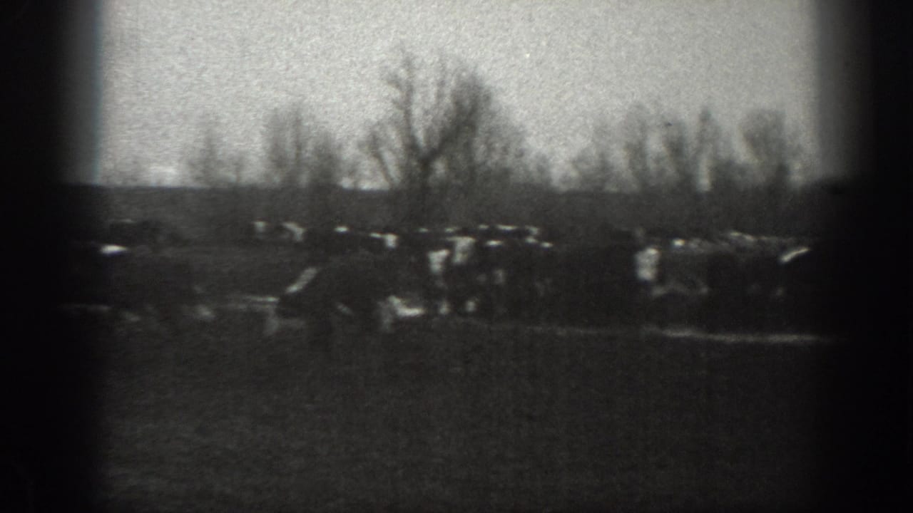 Black-and-white 1939 Montana farm footage shows livestock scattered across a pasture bordered by bare trees and distant low hills.