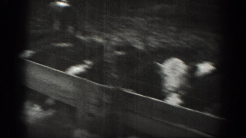 A 1939 Montana farm frame shows a light-colored animal behind wooden fencing, with hay or field rows extending into the background.