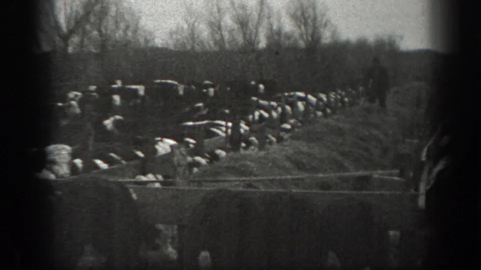Black-and-white 8mm frame of many cattle gathered in a Montana field, bordered by a ditch and leafless trees.