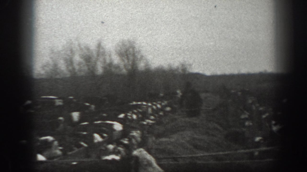 1939 Montana 8mm frame showing cattle in a muddy winter field, bare trees on the horizon, and a person partly visible among the animals.