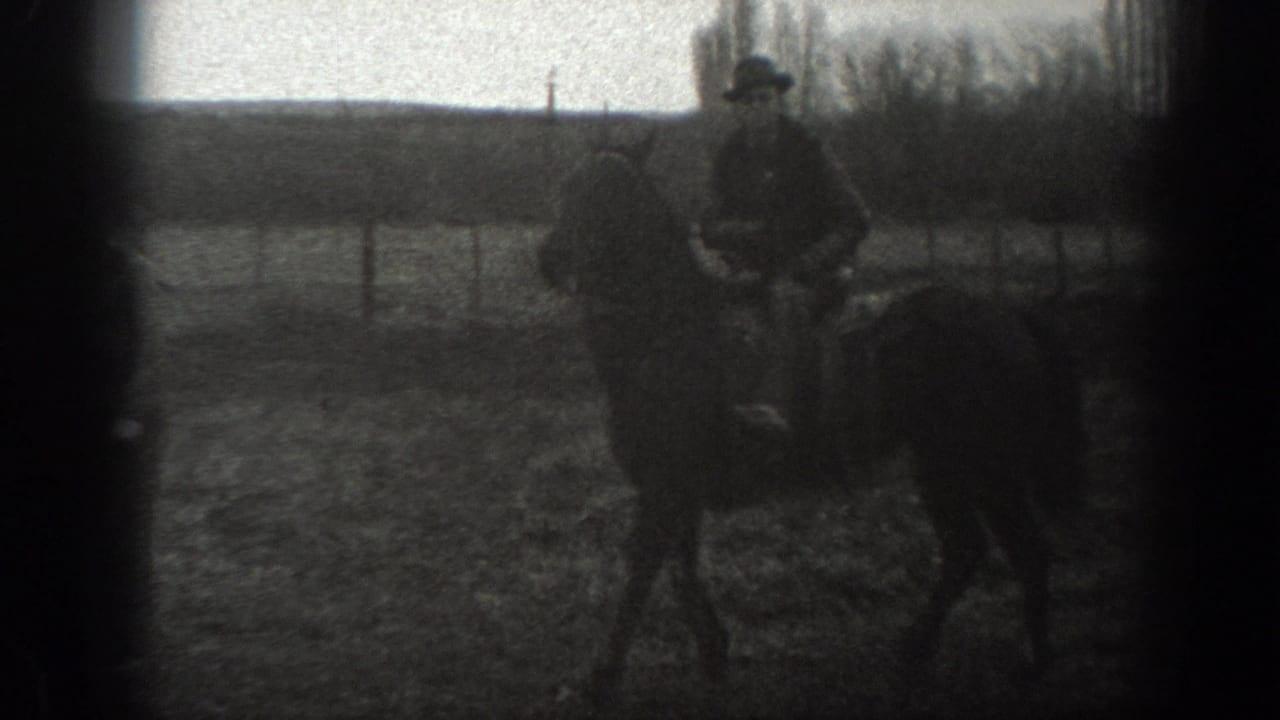Man in a hat riding a horse past fencing and open land.