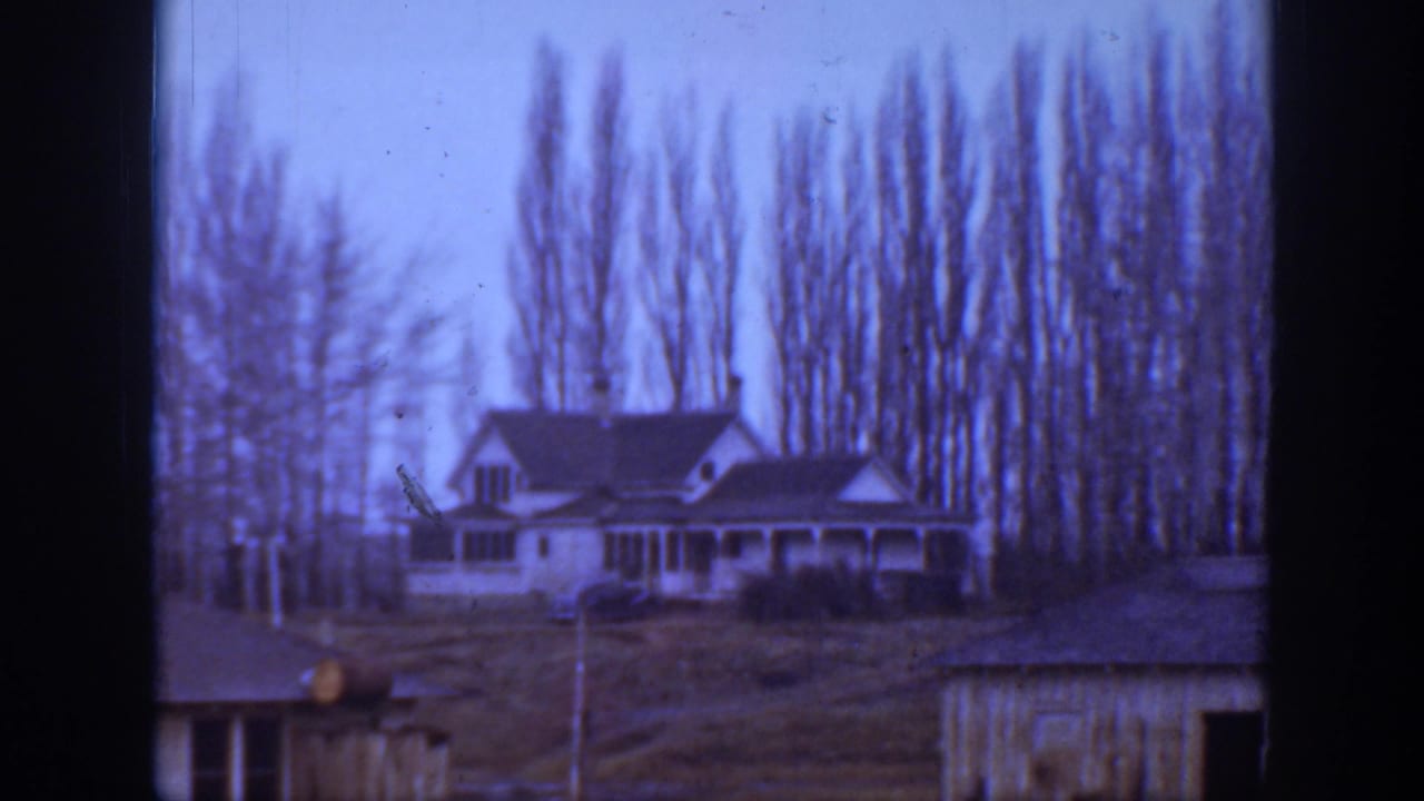 Distant white farmhouse framed by tall bare trees and a foreground shed roof.