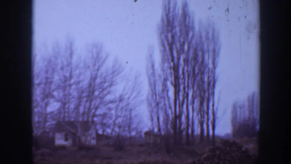 1939 Montana frame showing leafless tree rows, a hillside, and partial rural buildings near the edge of the 8mm image.