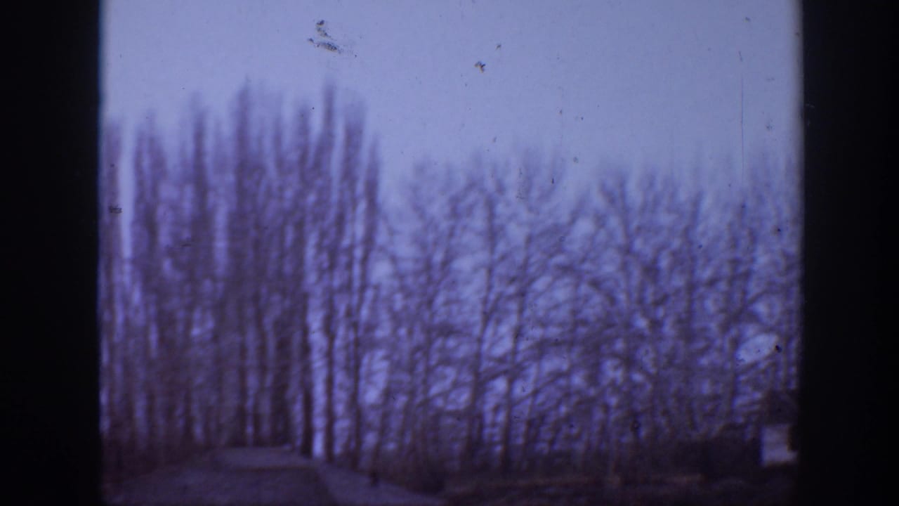1939 Montana home-movie frame showing bare trees and open rural ground under a pale sky.