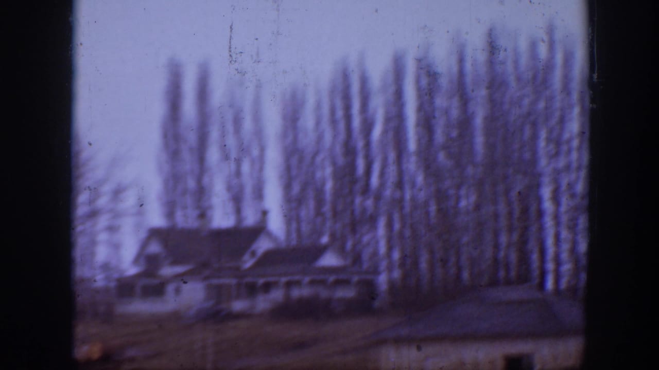 Farmhouse partly framed by tall bare trees and dark film borders.