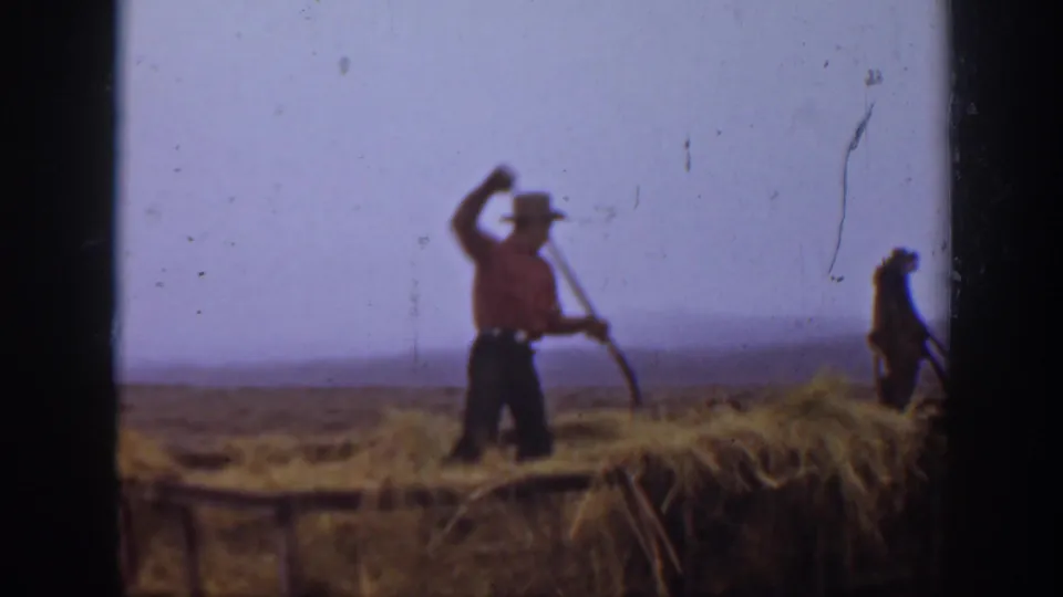 Two workers harvest or move crop material in a Montana field, with one figure raising a pitchfork.