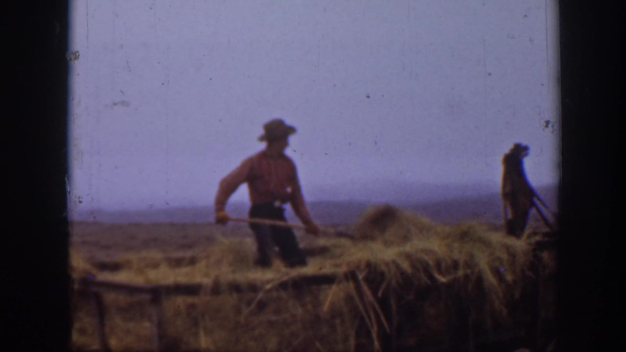 In rural Montana footage from 1939, a farmer in a hat uses a pitchfork to move hay onto a wagon as another worker stands nearby.