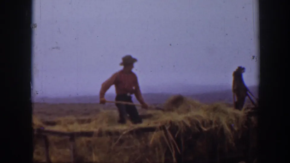 In rural Montana footage from 1939, a farmer in a hat uses a pitchfork to move hay onto a wagon as another worker stands nearby.