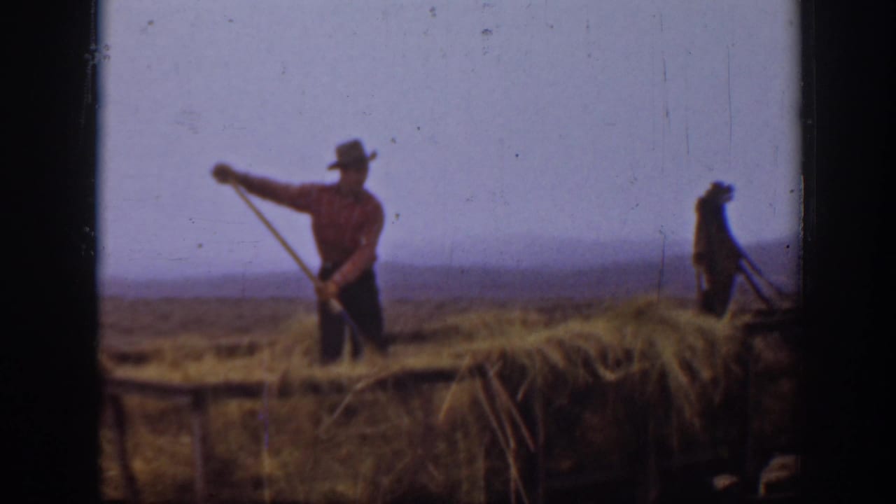 Farmer with a pitchfork stands on or beside a hay-loaded wagon in an open field.