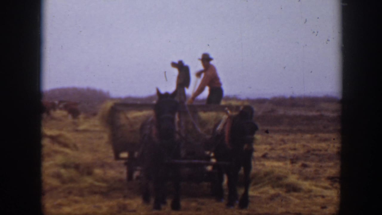 In 1939 Montana home-movie footage, two workers ride a horse-drawn hay wagon through dry open farmland.