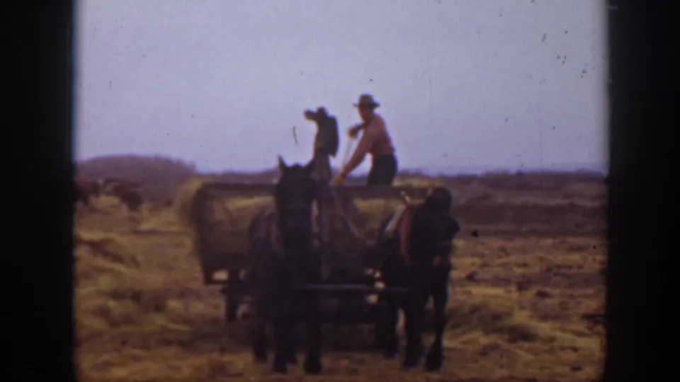 In 1939 Montana home-movie footage, two workers ride a horse-drawn hay wagon through dry open farmland.