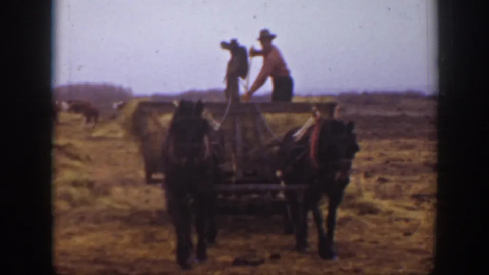The wagon and horse team move closer as two farm workers stand above the hay in the Montana field.