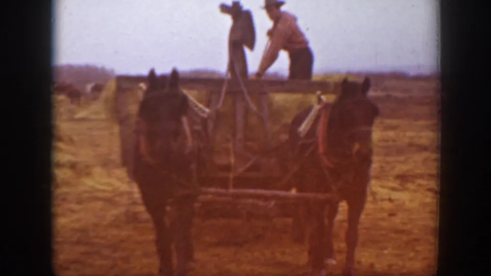 A closer 8mm frame shows the two-horse team and wagon, with workers partly visible above the hay load.
