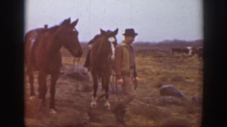 A man in a brimmed hat stands near two horses in the Montana field after the hay wagon sequence.
