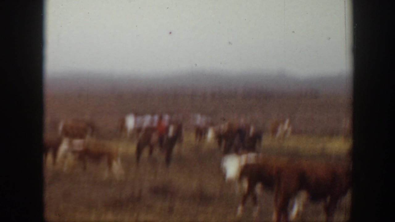 Distant cattle and horseback riders move across a Montana pasture in a soft, blurred 8mm frame from the supplied 1939 footage.