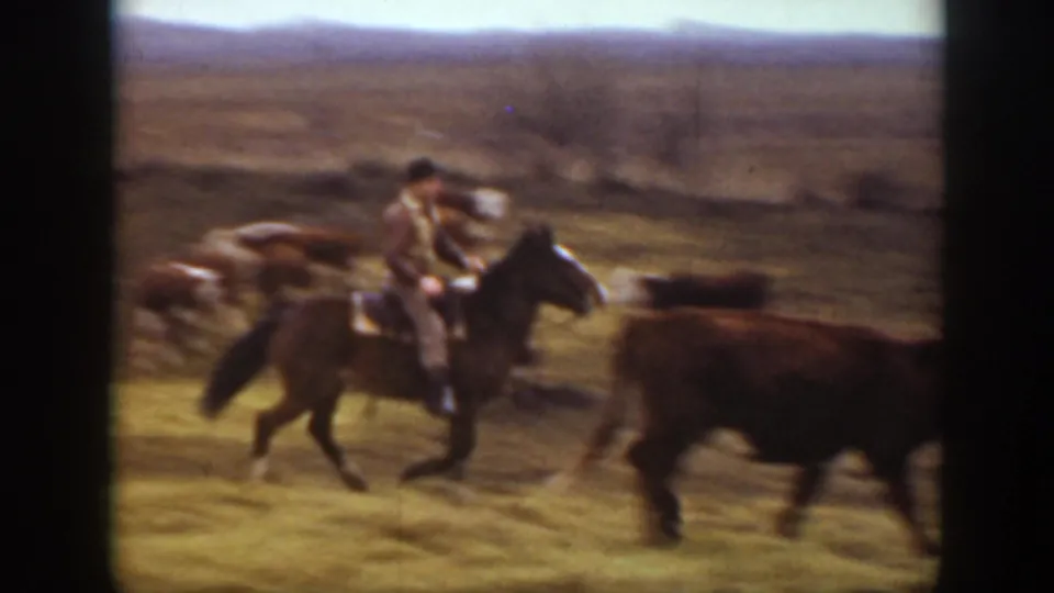 A rider in a dark hat moves on horseback beside cattle in the open Montana landscape, with motion blur and dark film borders from the original 8mm scan.