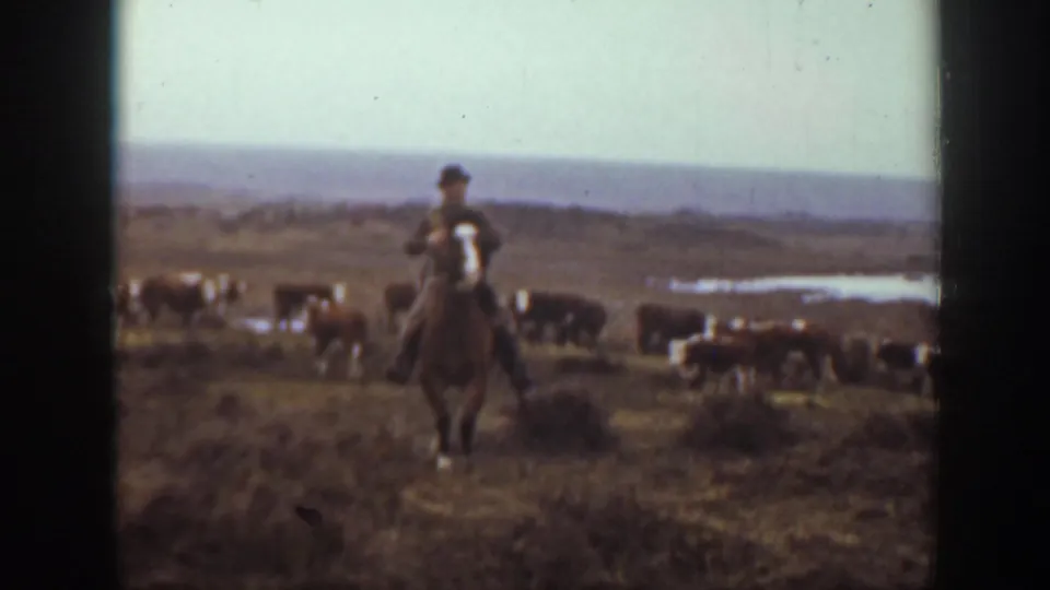 1939 Montana 8mm frame of a cowboy-like rider on horseback, with cattle and water visible across the plains behind him.