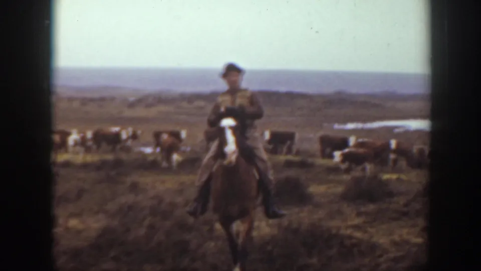 1939 Montana home-movie frame showing a rider on horseback approaching through grassland with cattle and water in the distance.
