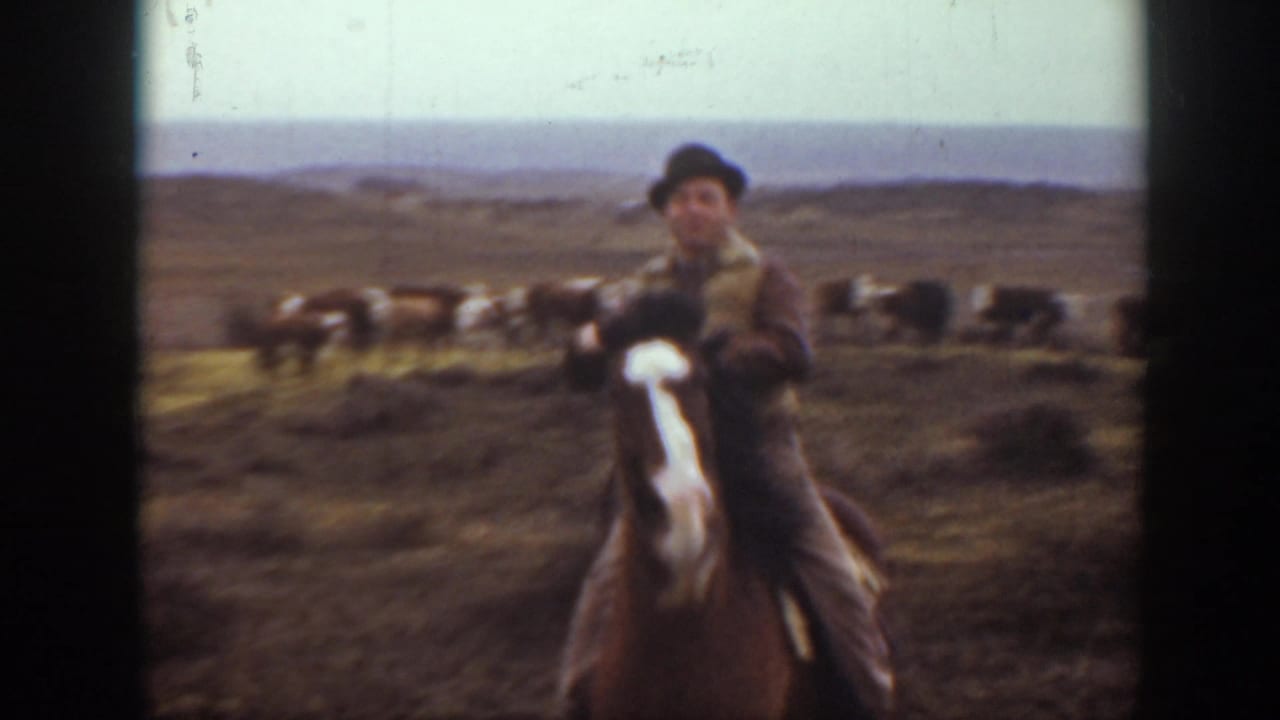 In 1939 Montana home-movie footage, a rider in a dark hat approaches on a brown horse as cattle graze across open prairie.