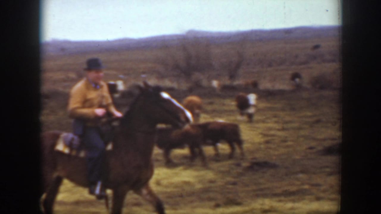 Cowboy in a tan jacket rides a brown horse past cattle on dry open range.