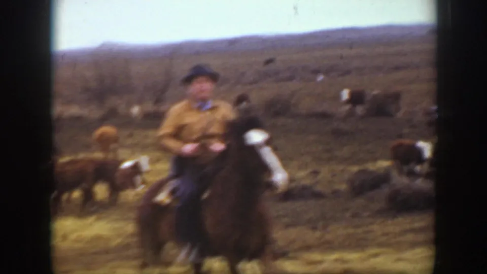 A handheld 1939 Montana frame shows a rider on horseback moving near cattle, softened by motion blur and 8mm film texture.