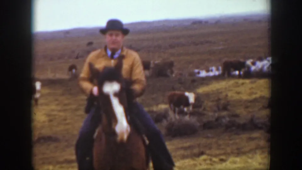 The rider faces the camera on a brown horse with a white blaze, with cattle and rolling Montana prairie visible behind.