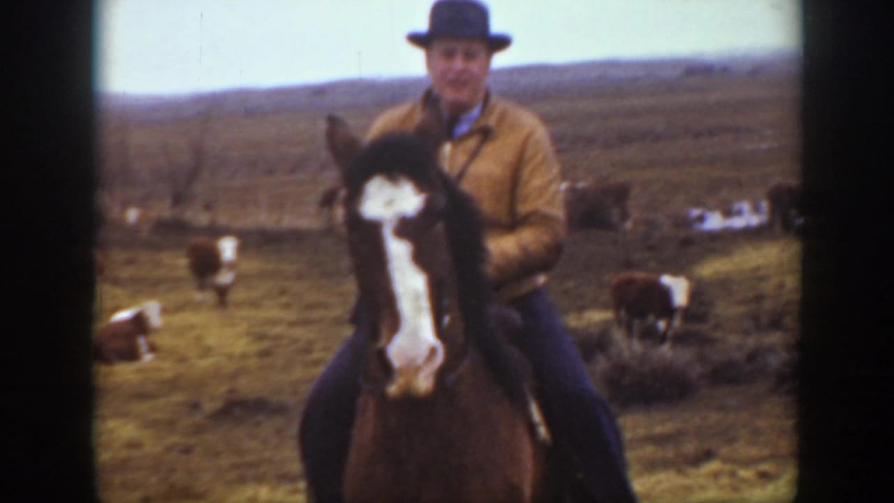 In supplied 1939 Montana footage, a man in a brown jacket rides a dark horse with a white blaze across open cattle pasture.
