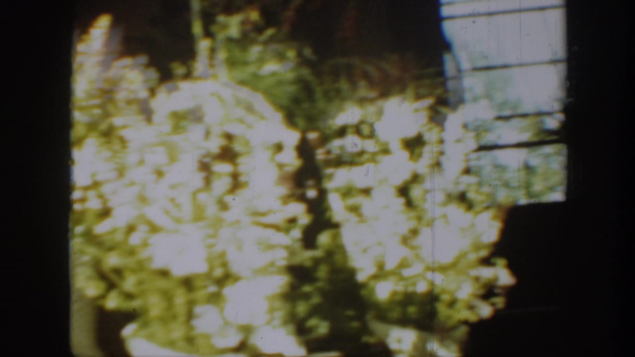 1939 Montana home-movie frame looking through a window toward bright foliage and part of a building or church exterior.