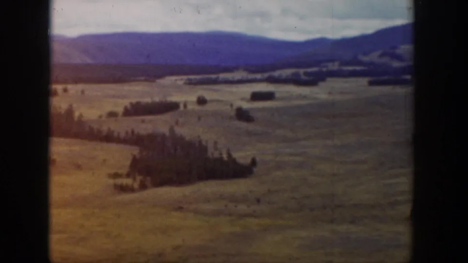Wyoming valley landscape with open meadow, scattered tree stands, rolling hills, and distant mountains under a cloudy sky.