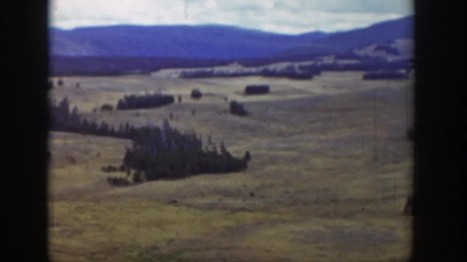 Elevated 1939 Wyoming 8mm view showing rolling fields, a prominent evergreen cluster, and hazy mountains beyond.