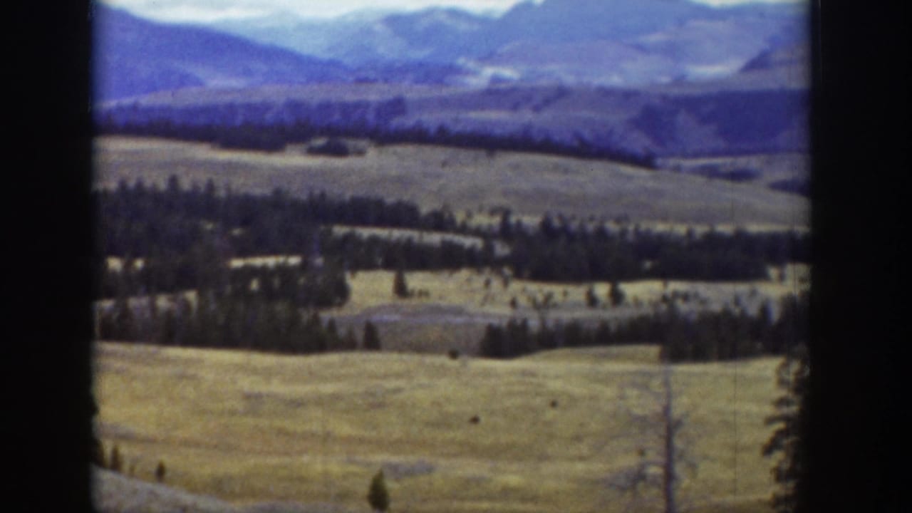 Open hills, dark tree bands, and blue-toned mountains beyond the grassland.