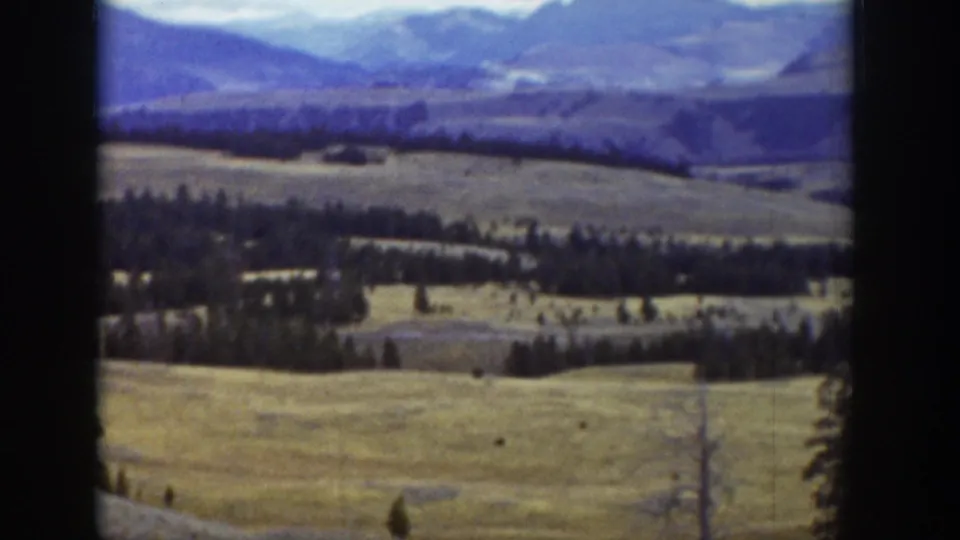 Wide 8mm Wyoming landscape with golden grass, evergreen bands, and hazy blue mountain ridges in the distance.