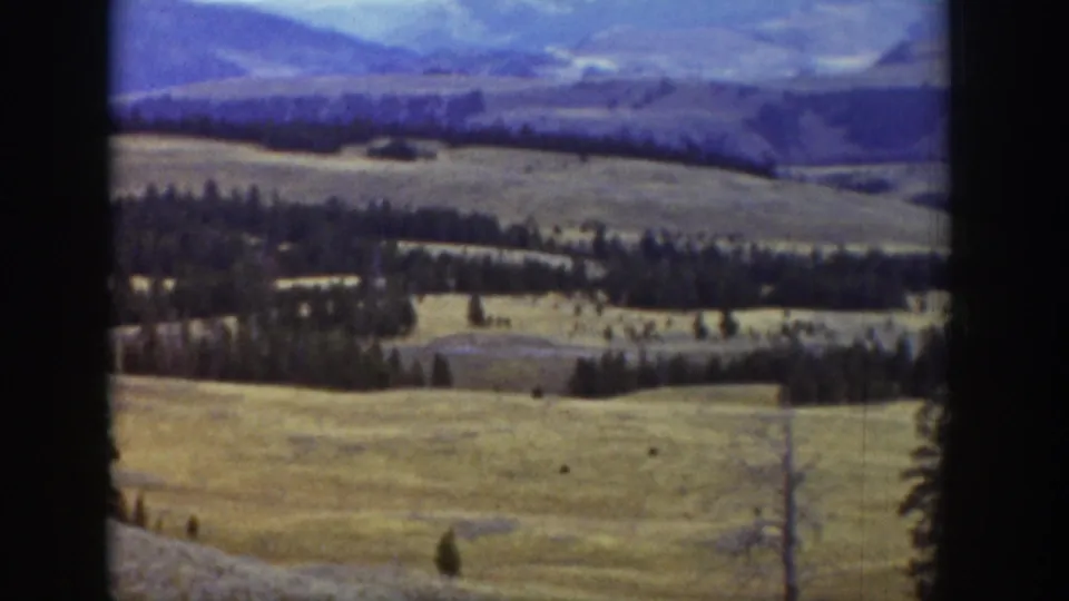 1939 home-movie frame of Wyoming grassland, evergreen stands, and distant blue-purple mountain slopes.