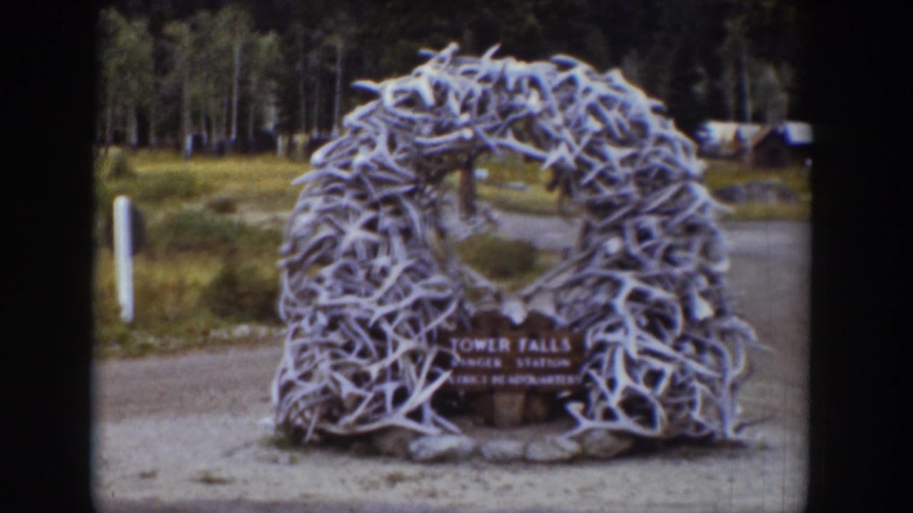 Antler arch entrance marker with a readable Tower Falls Ranger Station sign and wooded background.