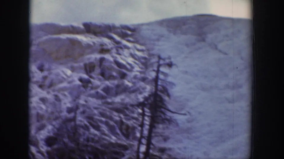 1939 Wyoming 8mm frame with a lone evergreen before a broad snow-covered mountain slope.