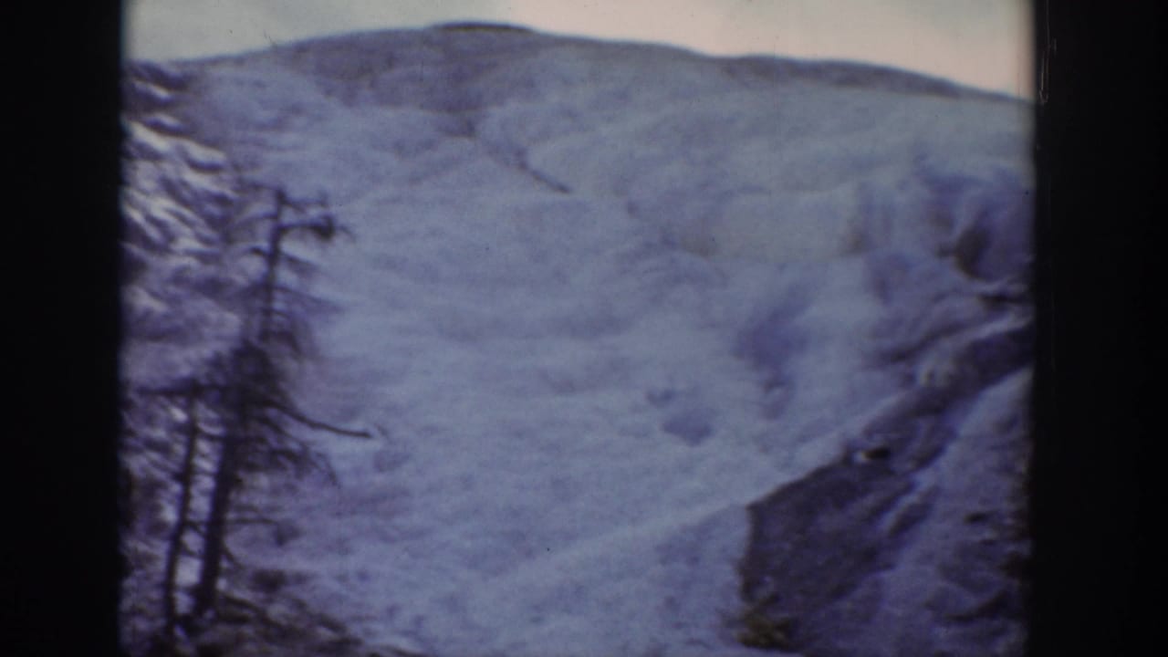 1939 Wyoming 8mm frame showing a snow-covered mountain landscape with a dark evergreen tree in the foreground.