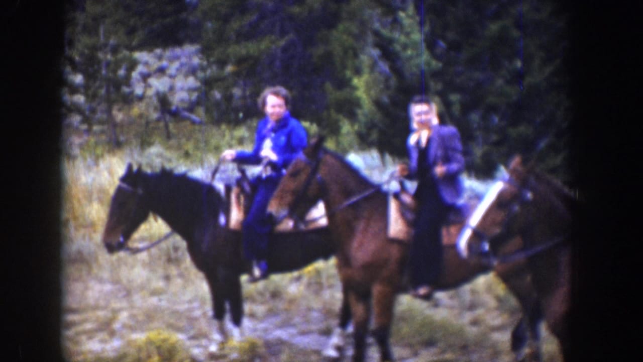 Two riders on horses pause near grass and trees.