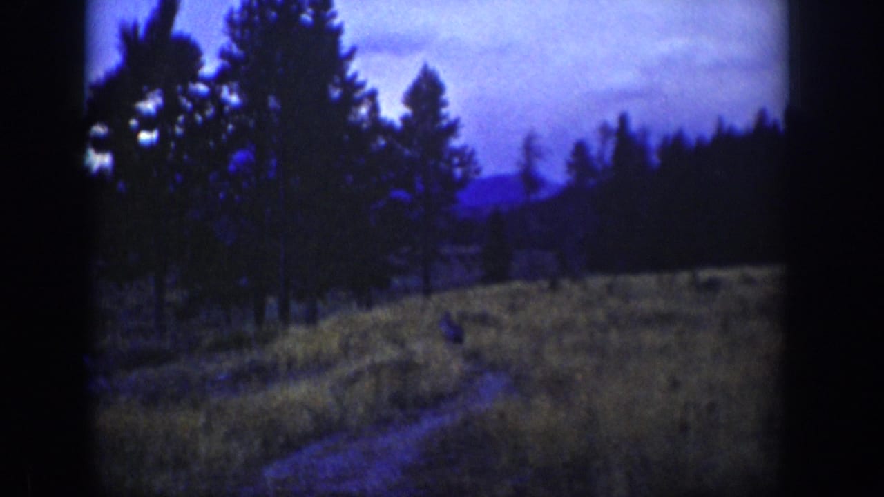 1939 Wyoming 8mm frame showing pine trees, a dim meadow, distant hills, and a small deer-like animal near a curving dirt path.