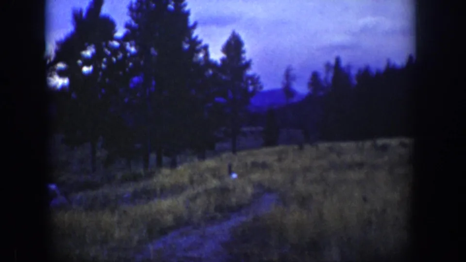1939 Wyoming 8mm frame showing a shadowed forest meadow with a small deer-like animal near the path and dark trees behind it.