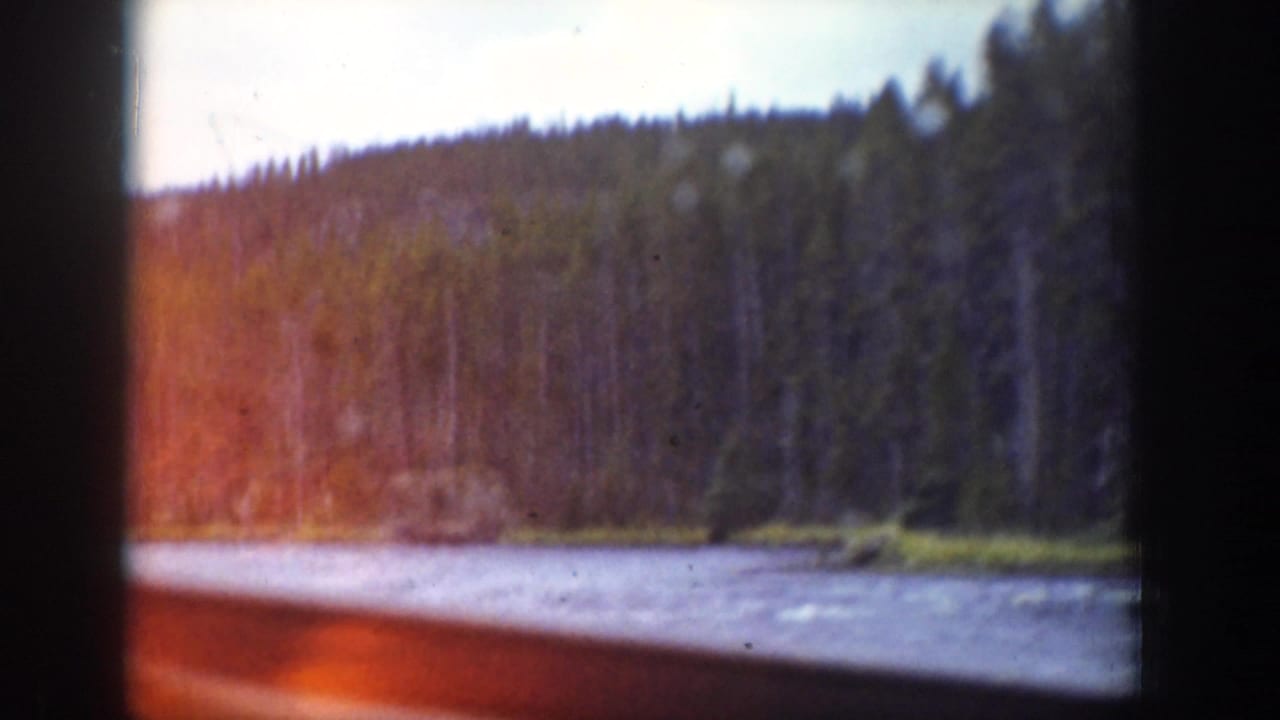1939 Wyoming roadside stream and evergreen hillside viewed from inside a moving car, with window framing and film flare visible.