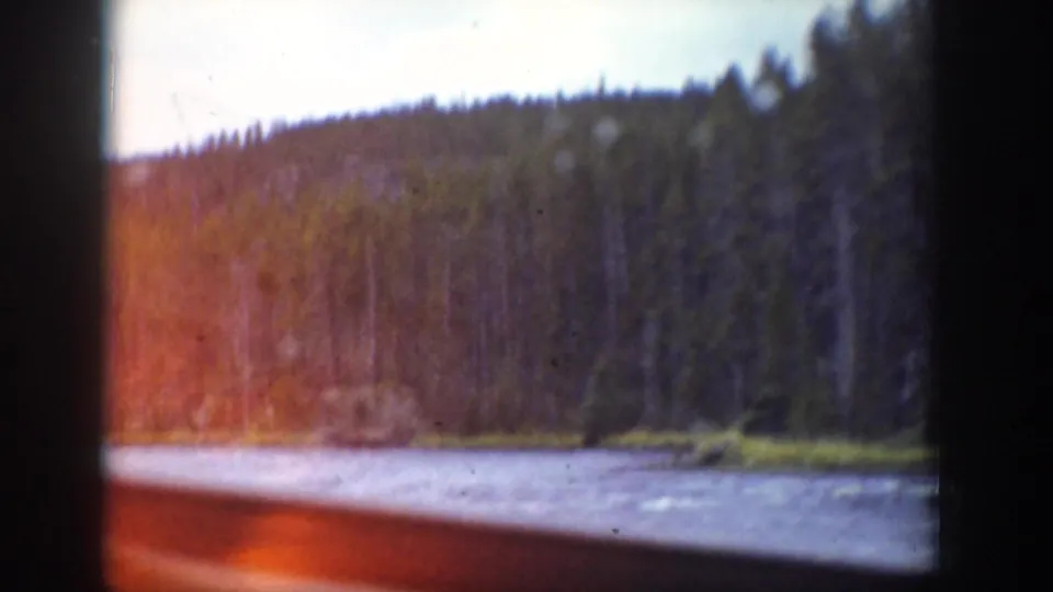 1939 Wyoming roadside stream and evergreen hillside viewed from inside a moving car, with window framing and film flare visible.