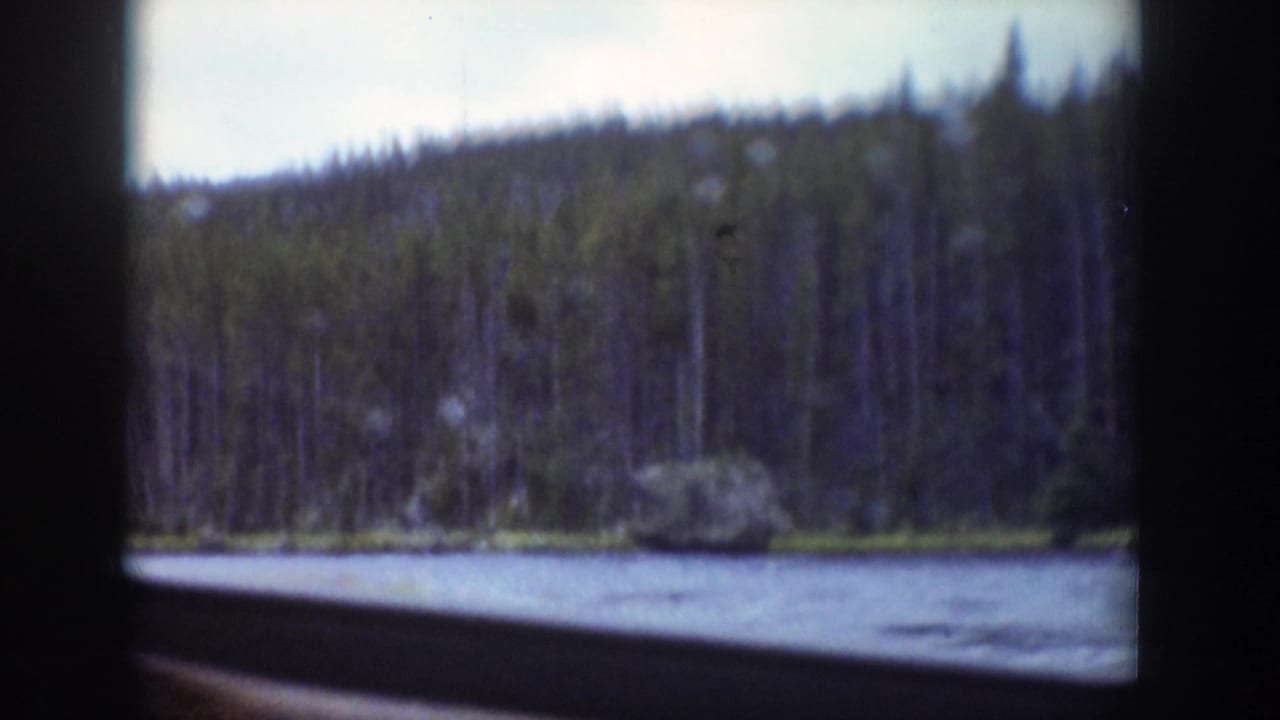 Forested stream bank passing behind a dark vertical car window post.