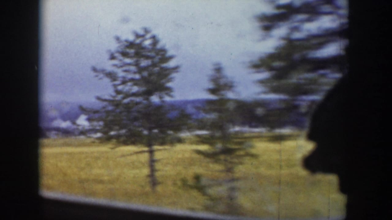1939 Wyoming travel frame with evergreens, open grassland, distant hills, and dark vehicle framing.