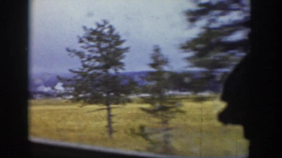 1939 Wyoming travel frame with evergreens, open grassland, distant hills, and dark vehicle framing.